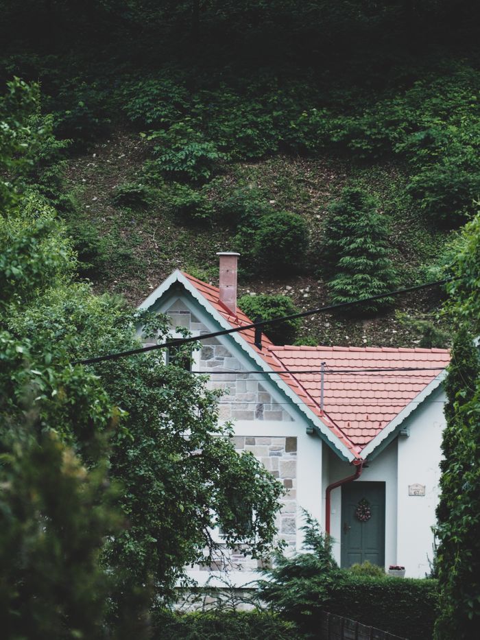 A quaint house with a red tiled roof nestled in a verdant forest, showcasing nature's beauty.